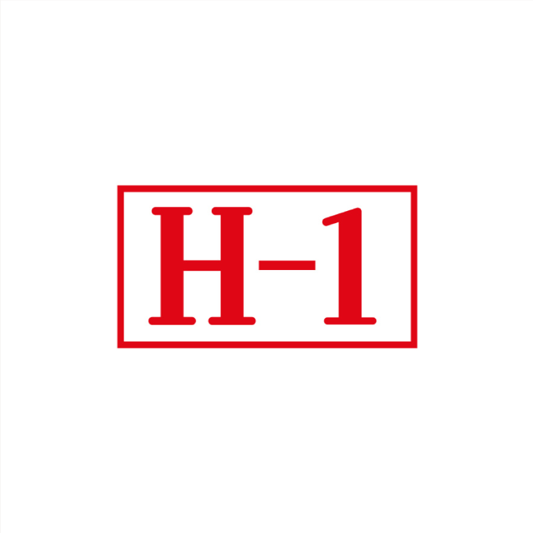 H-1