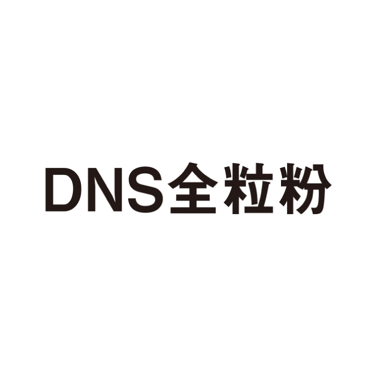 DNS全粒粉